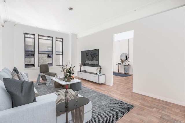 living room with hardwood / wood-style flooring