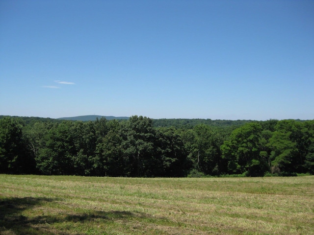 Chestnut Ridge Rd, Dover Plains NY, 12522 land for sale