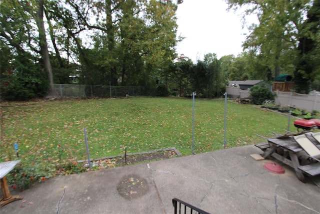 view of yard featuring a patio area