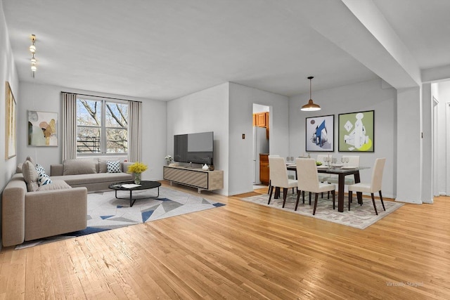 living room with light wood-type flooring