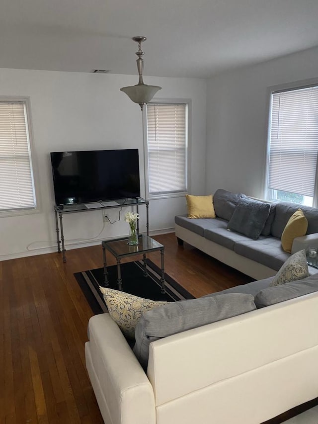 living room featuring hardwood / wood-style flooring