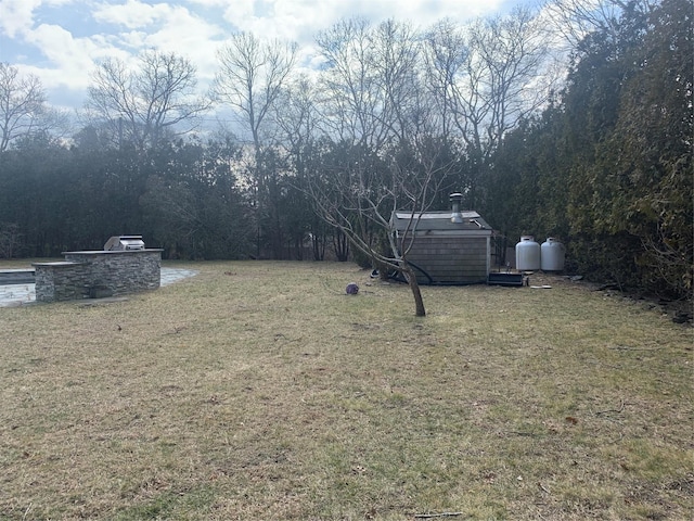 view of yard featuring an outdoor kitchen