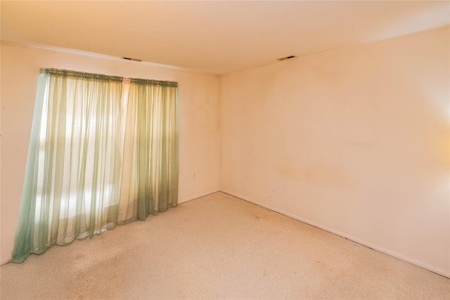 empty room featuring carpet floors