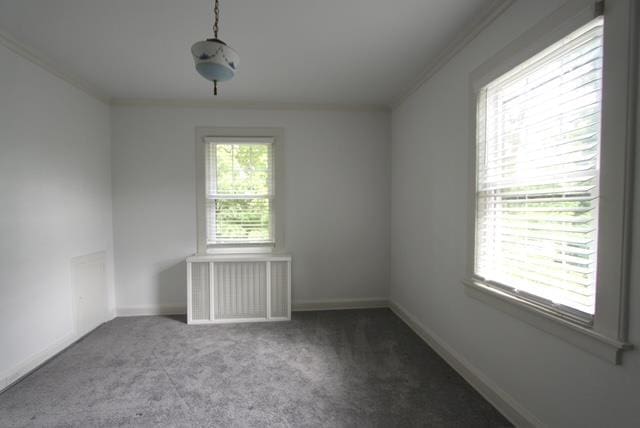 empty room with carpet, ornamental molding, and baseboards