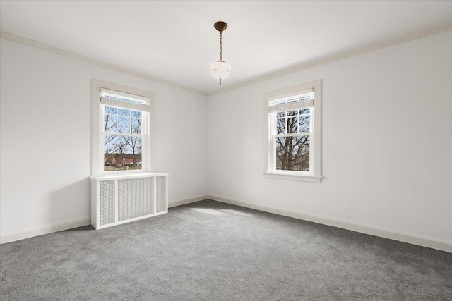 320 Putnam Ave, Port Chester, NY 10573 - carpeted spare room featuring radiator, healthy amount of natural light, ornamental molding, and baseboards