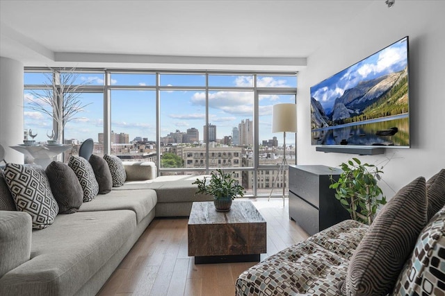 living room with hardwood / wood-style flooring