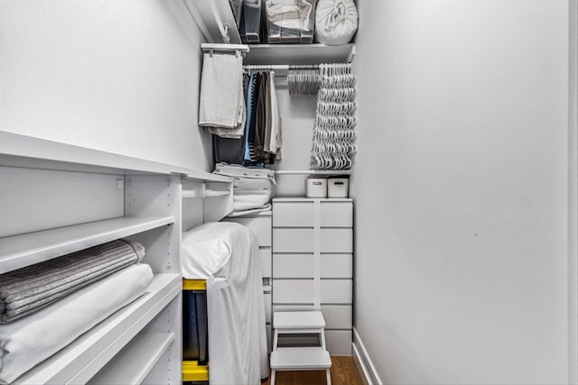 spacious closet featuring hardwood / wood-style floors