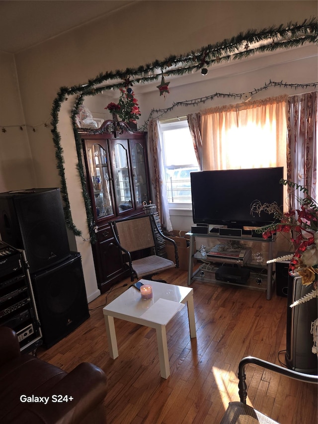 living room with hardwood / wood-style flooring