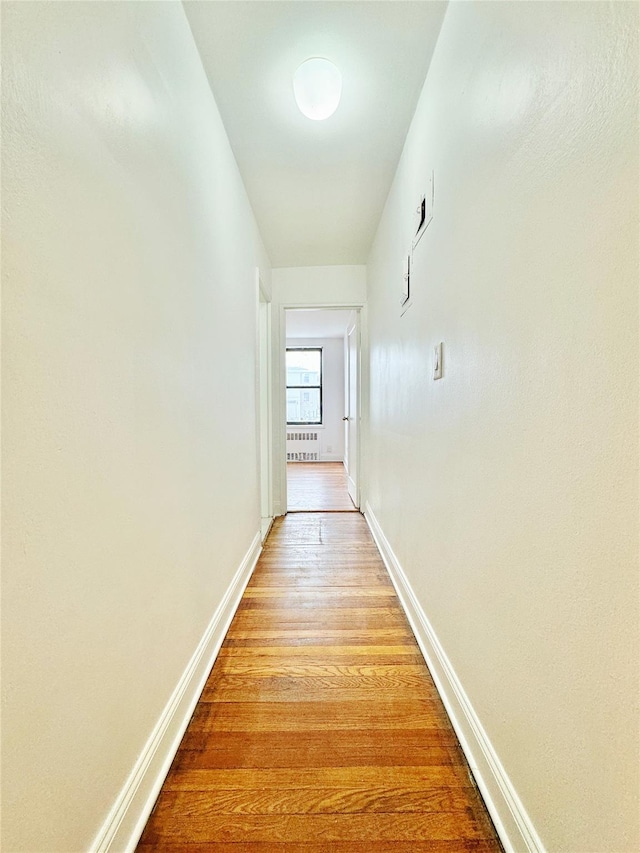 hallway with radiator heating unit and light hardwood / wood-style floors