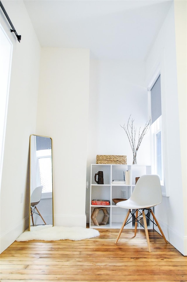 interior space featuring hardwood / wood-style floors