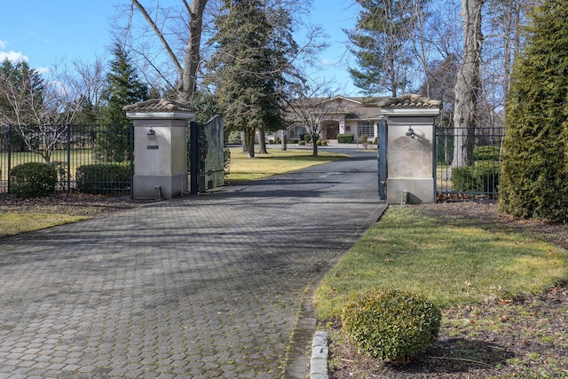 view of road featuring a gate, a gated entry, and decorative driveway