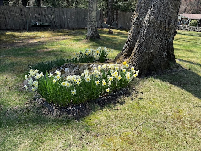 49 Park Rd, Barryville, NY 12792 - view of yard featuring fence