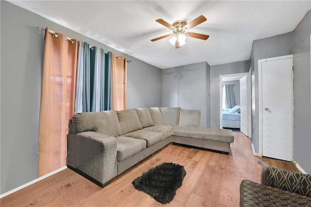 living room with ceiling fan and light wood-type flooring