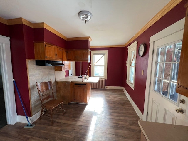 kitchen featuring dark wood-type flooring, a breakfast bar area, ornamental molding, radiator heating unit, and kitchen peninsula