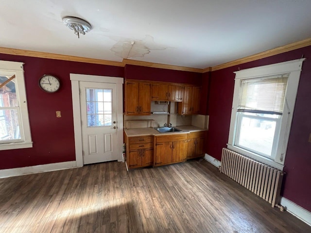 kitchen featuring ornamental molding, radiator, sink, and dark hardwood / wood-style flooring