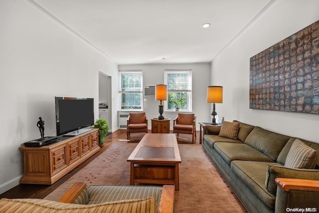 living room featuring wood-type flooring