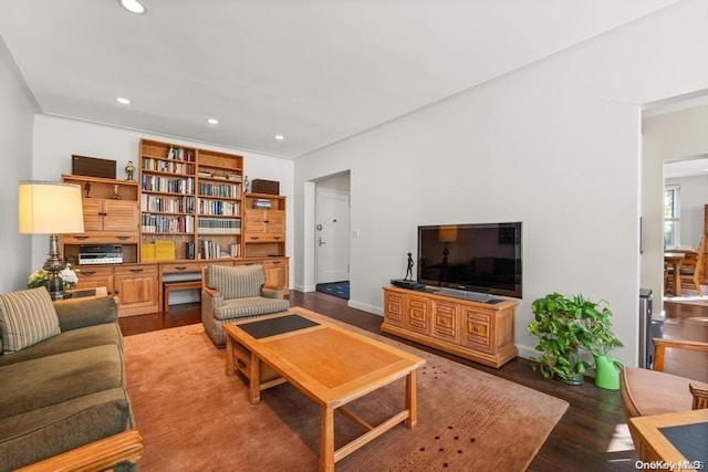 living room featuring wood-type flooring