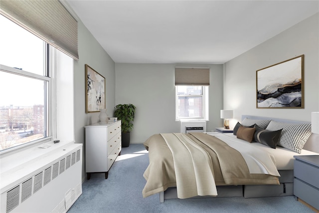 209-20 18th Ave Unit 6C, Bayside, NY 11360 - bedroom with radiator heating unit and light carpet