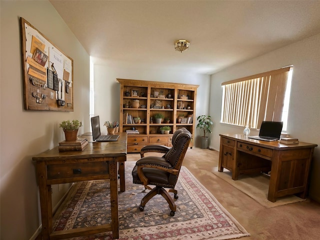 view of carpeted home office