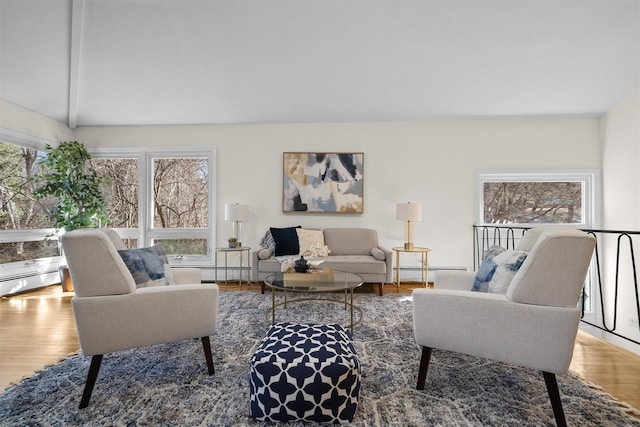 living room featuring wood finished floors and a baseboard radiator