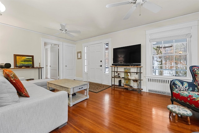 living room with radiator, hardwood / wood-style floors, and ceiling fan