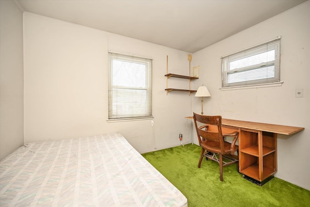 bedroom featuring carpet flooring