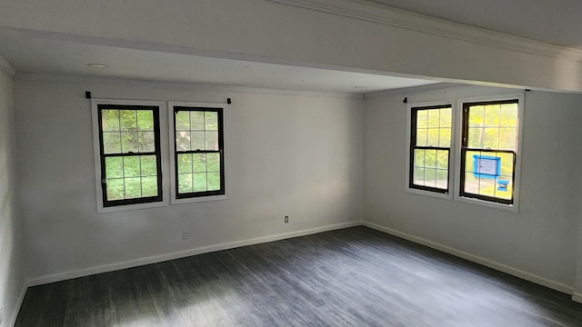 4030 Old Rte 22, Brewster, NY 10509 - unfurnished room with ornamental molding and dark wood finished floors