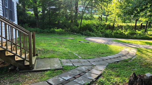 4030 Old Rte 22, Brewster, NY 10509 - view of green lawn