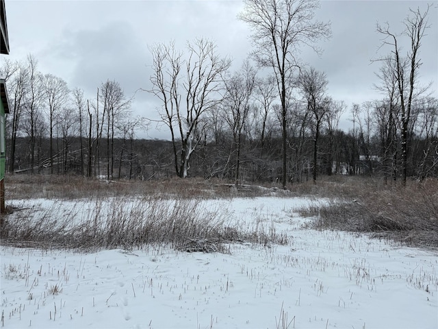 view of snow covered land