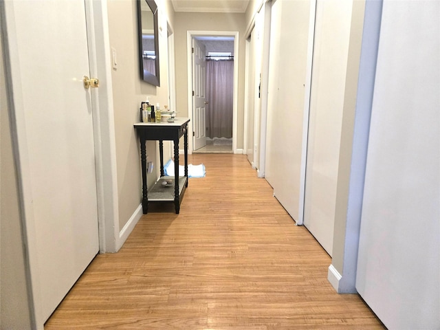 corridor featuring crown molding and light hardwood / wood-style floors