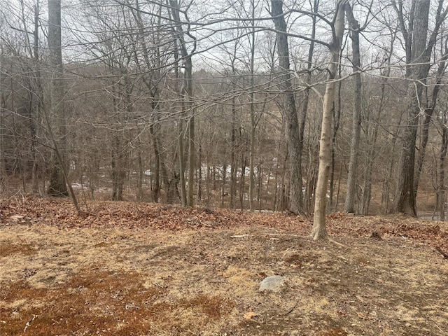 800 Sleepy Hollow Rd, Briarcliff Manor NY, 10510 land for sale