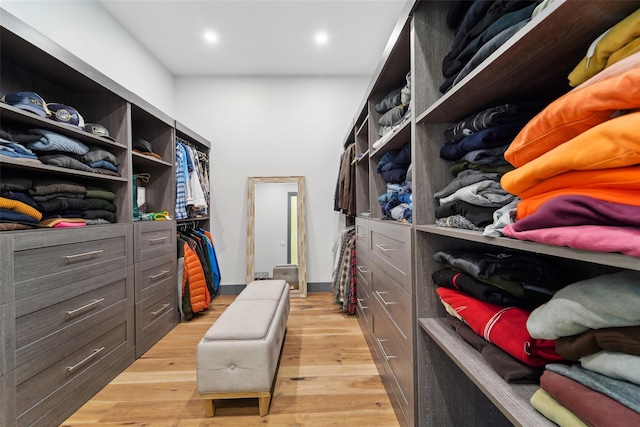 spacious closet featuring light wood-style floors