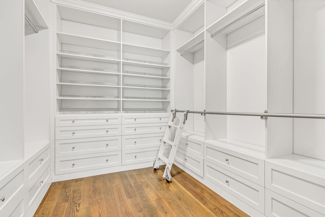 spacious closet with hardwood / wood-style floors