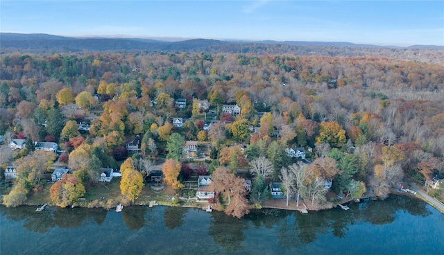 bird's eye view with a water view and a view of trees