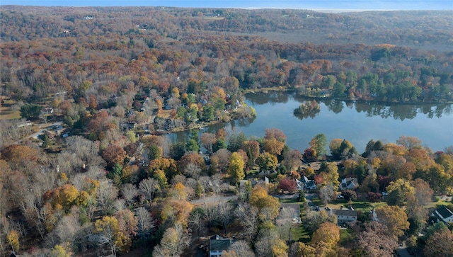 bird's eye view with a water view and a view of trees