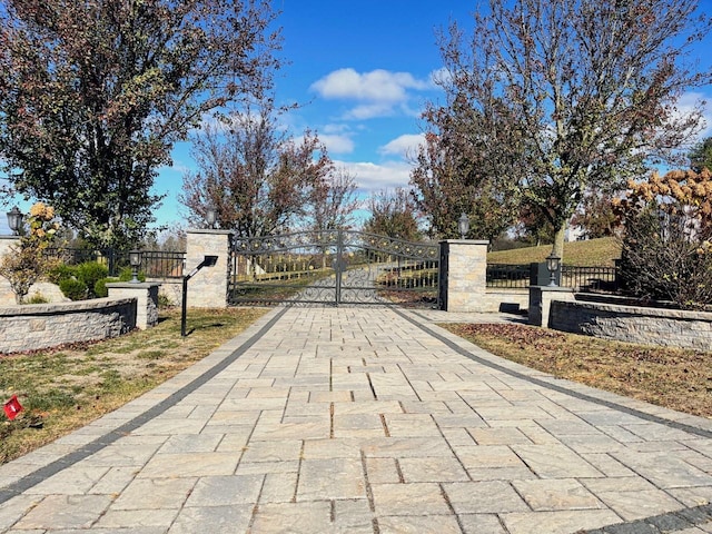 view of street featuring decorative driveway, a gated entry, and a gate