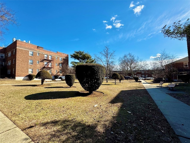 view of community featuring a yard