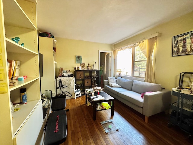 living room featuring dark wood-type flooring