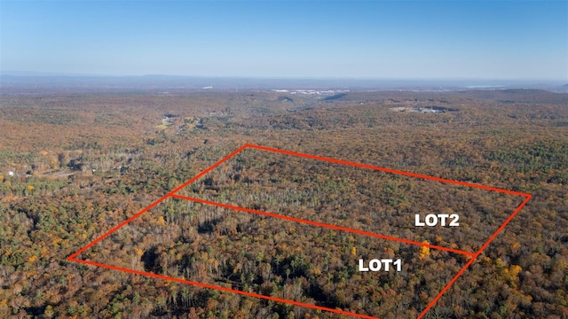 TBD60ACRE Zena Rd, Kingston NY, 12498 land for sale