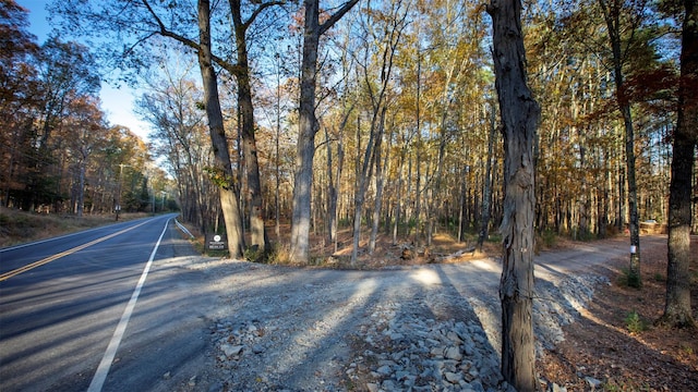 TBD60ACRE Zena Rd, Kingston, NY 12498