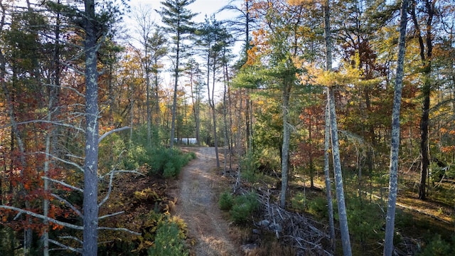 TBD60ACRE Zena Rd, Kingston, NY 12498