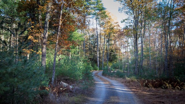 TBD60ACRE Zena Rd, Kingston, NY 12498