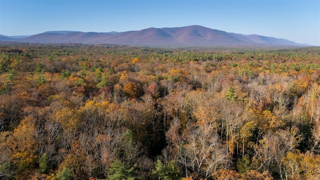 TBD60ACRE Zena Rd, Kingston, NY 12498