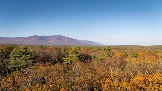TBD60ACRE Zena Rd, Kingston, NY 12498