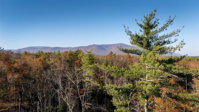 TBD60ACRE Zena Rd, Kingston, NY 12498