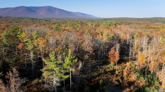 TBD60ACRE Zena Rd, Kingston, NY 12498