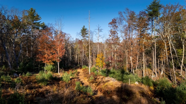 TBD60ACRE Zena Rd, Kingston, NY 12498