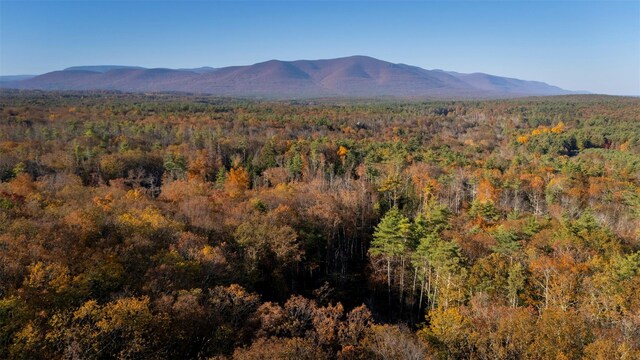 TBD60ACRE Zena Rd, Kingston, NY 12498
