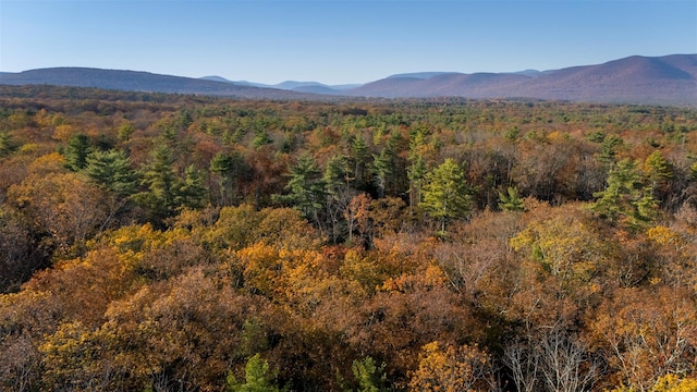 TBD60ACRE Zena Rd, Kingston, NY 12498