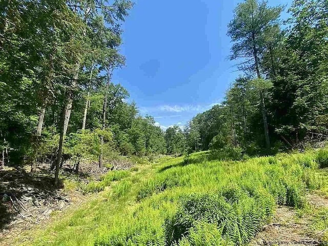 TBD60ACRE Zena Rd, Kingston, NY 12498